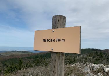 Trail Walking Missègre - Valmigere  - Photo