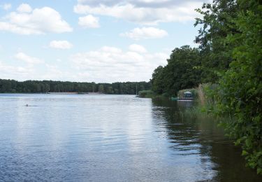 Tocht Te voet Mixdorf - Rundwanderweg See - Photo