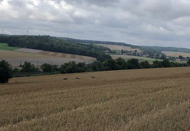 Tocht Mountainbike Amiens - Le grand camps xieme2 - Photo