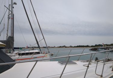 Percorso Barca a vela  - rando aquatique ile de Ré/Oléron  - Photo