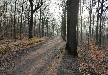 Trail Walking Viroflay - Par les sentes de Chaville, Sèvres et Ville D'Avray - Photo