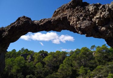 Randonnée Marche Mourèze - Moureze Crete du Liausson par l'Arche - Photo