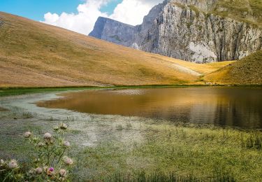 Percorso A piedi  - Oρειβατικό καταφύγιο Τύμφης 