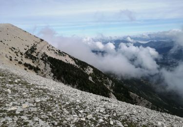 Trail Walking Bédoin - les glacières par le sommet du ventoux - Photo
