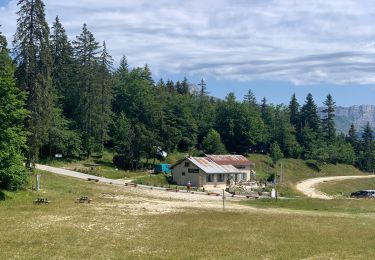 Trail Walking Autrans-Méaudre en Vercors - Gros Marcel - Photo