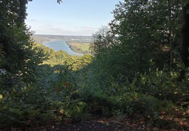 Randonnée Marche Rives-en-Seine - Villequier - Photo