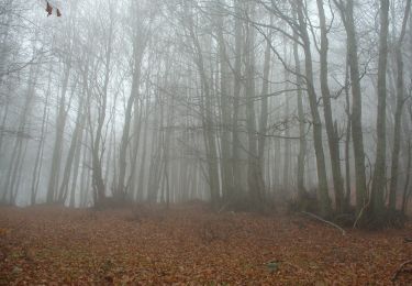 Percorso A piedi Delianuova - Sentiero del Brigante - Tappa 2 - Photo