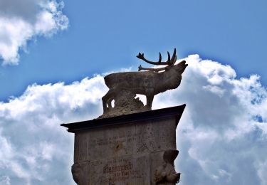 Tour Zu Fuß Schleusingen - Panoramaring - Photo