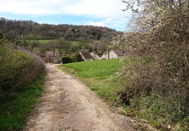 Trail Walking Saint-Mesmin - FONTETTE (05-04-2019) - Photo