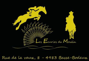 Percorso Equitazione Stavelot - Du manège de la haute levée à Neuville au Cercle équestre de waimes à Waimes - Photo