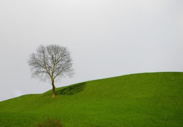 Tocht Te voet Moos in Passeier - Moso in Passiria - Passerschluchtenweg - Photo