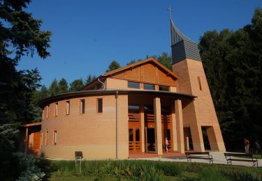 Tocht Te voet Zalakaros - Felső-hegyi körtúra - Photo