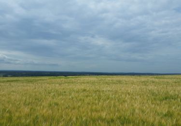 Tocht Mountainbike Saint-Clément -  sortie vtt du 17062018 SIONVILLER  - Photo