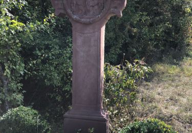 Randonnée Marche Hohengœft - Chemin de croix baptême Loulou  - Photo