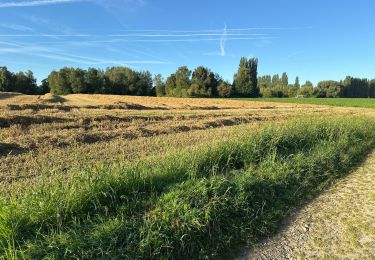 Randonnée Marche Asse - Relegem 6,7 km - Photo