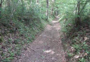 Trail Walking Yvoir - mont godinne 120520 - Photo