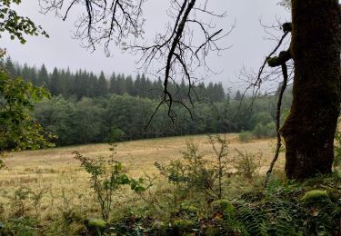 Tour Wandern Cros - Promenade du gite des milles fleurs, au fil de l'eau. - Photo