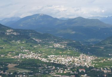 Percorso A piedi Trento - Sentiero Natura Cognola - Monte Calisio - Photo