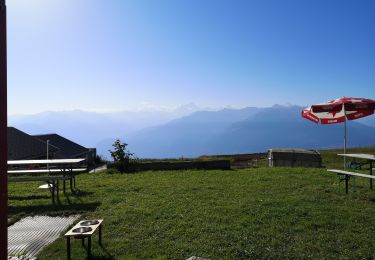 Excursión Marcha nórdica Arbaz - pas de Maimbré  - Photo