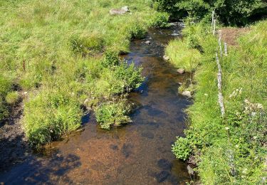 Tour Wandern Nasbinals - Nasbinals Montorzier Aubrac GR65 - Photo