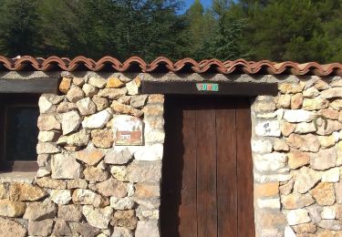 Tocht Stappen Gémenos - st jean de garguier  - Photo