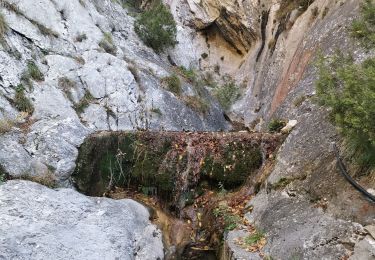 Randonnée Marche Gorbio - vvv - Photo