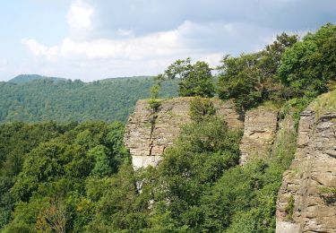 Tocht Te voet Auetal - HO8 - Kreuzstein-Route - Photo