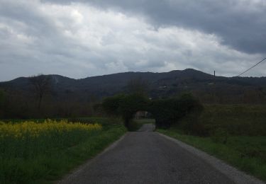 Trail On foot Arezzo - IT-553 - Photo