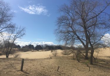 Tour Wandern De Panne - Oosthoekduinen - Photo