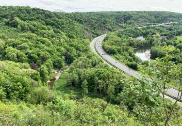 Tocht Mountainbike Luik - S Tilman Embourg Tilff retour - Photo