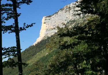 Excursión Senderismo Entremont-le-Vieux - Le Granier - Photo