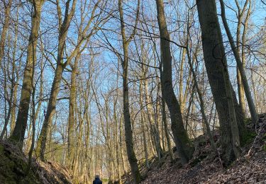 Trail Walking Grez-Doiceau - Grez Doiceau Gottechain - Photo
