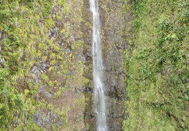 Excursión Senderismo La Plaine-des-Palmistes - Cascade Biberon - Photo