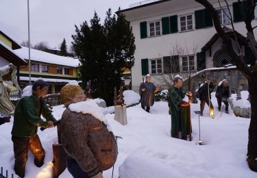 Tour Zu Fuß Sankt Gilgen - Wanderweg 28 - Photo