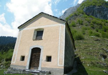 Randonnée A pied Lozio - Lozio - Passo di Baione - Photo