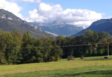 Tour Rennrad Aix-les-Bains - st félix.hery sur album.cusy.aix - Photo