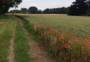 Randonnée Marche Genappe - bousval - Photo