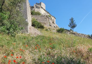 Randonnée Marche Boulbon - le château de Boulbon - Photo