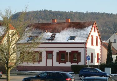 Randonnée A pied Bruchmühlbach-Miesau - Sagenhafter Waldpfad - Photo