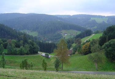 Randonnée A pied Vöhrenbach - Vöhrenbach - St. Georgen - Photo
