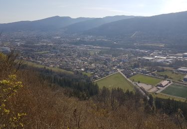 Tour Wandern Bellignat - Bellignat point de vue Golot Forêt du Chatelard - Photo