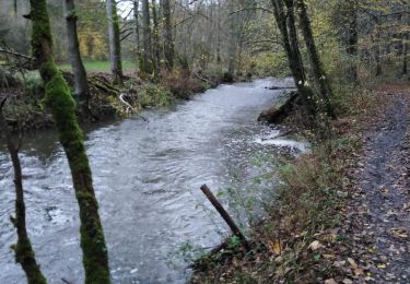 Tocht Stappen Chimay - les sarrasins - Photo