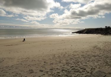 Tour Wandern Carnac - Carnac Le Po 04/03/20 . - Photo