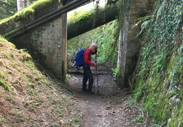 Tocht Stappen Bagnères-de-Luchon - Luchon Super - Photo