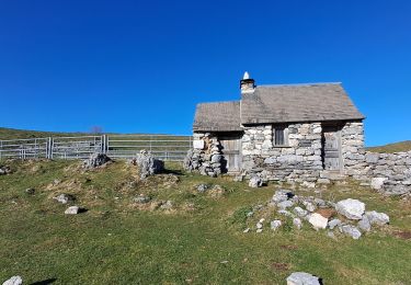 Trail Walking Campan - Cabane du teihet - Photo