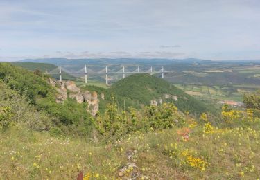 Randonnée Marche Creissels - Au dessus de Millau - Photo