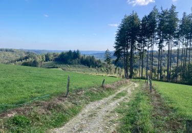 Trail Hybrid bike Vresse-sur-Semois - Pussemange Bouillon - Photo