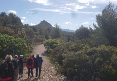 Trail Walking Aubagne - 