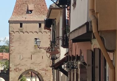 Tocht Elektrische fiets Rosheim - Rosheim Grendelbruch  - Photo