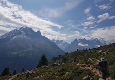 Trail Walking Vallorcine - TAR1 - Tour des Aiguilles Rouges J1 - Col des Montets - Lac Blanc - Photo